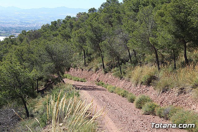XXII Bike Maratn Ciudad de Totana - 647