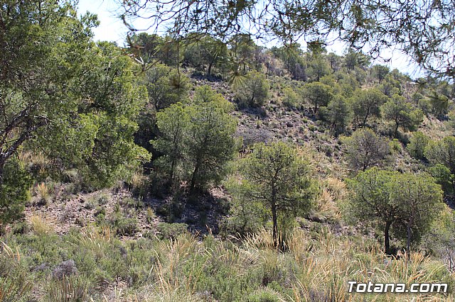 XXII Bike Maratn Ciudad de Totana - 667