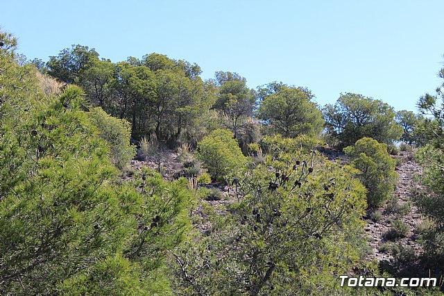 XXII Bike Maratn Ciudad de Totana - 668