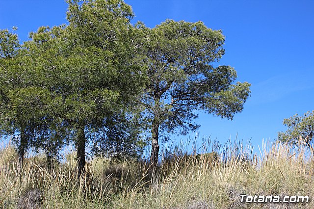 XXII Bike Maratn Ciudad de Totana - 669
