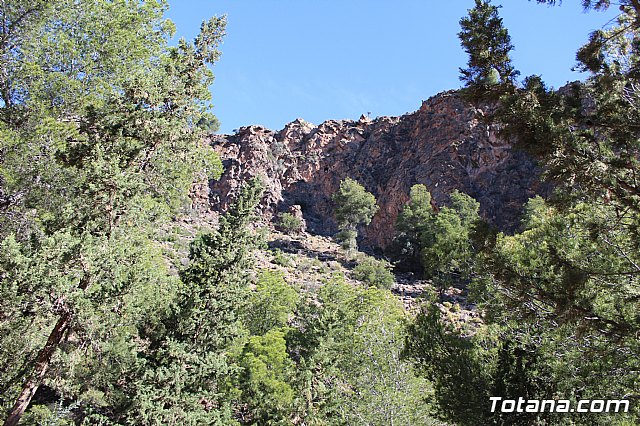 XXII Bike Maratn Ciudad de Totana - 741