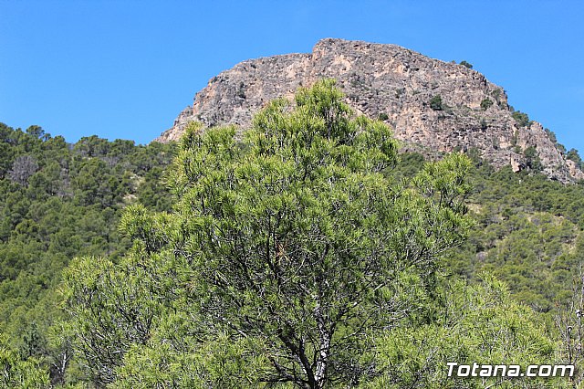 XXII Bike Maratn Ciudad de Totana - 753