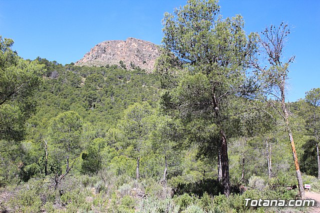 XXII Bike Maratn Ciudad de Totana - 755