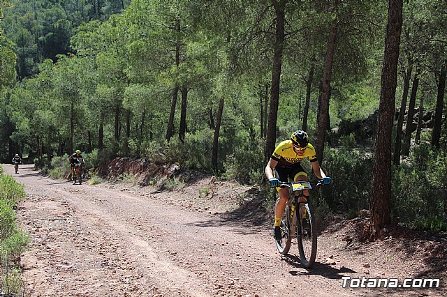 XXII Bike Maratn Ciudad de Totana - 778