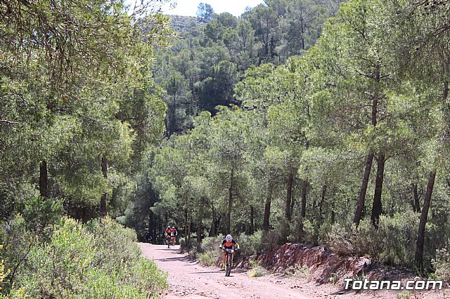XXII Bike Maratn Ciudad de Totana - 785