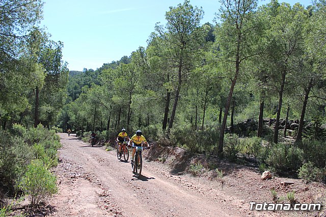 XXII Bike Maratn Ciudad de Totana - 796