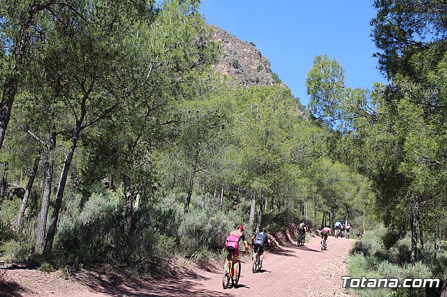 XXII Bike Maratn Ciudad de Totana - 886