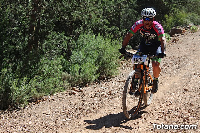 XXII Bike Maratn Ciudad de Totana - 973