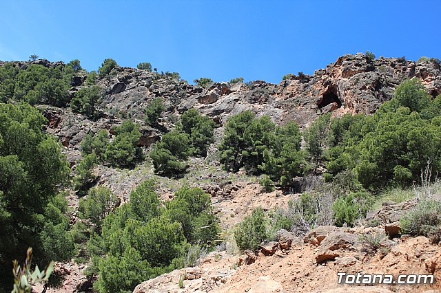 XXII Bike Maratn Ciudad de Totana - 987