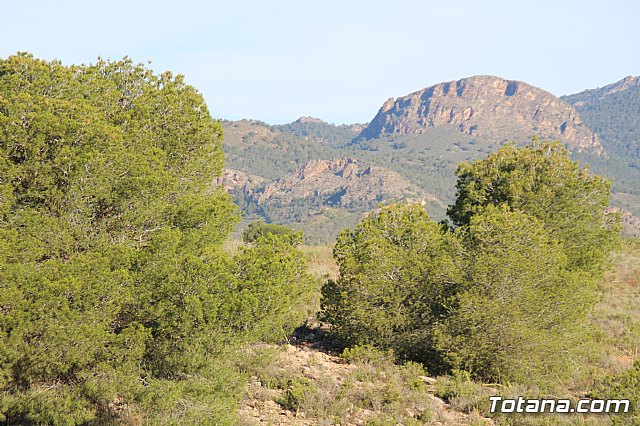 XX Bike Maratn Ciudad de Totana - 31