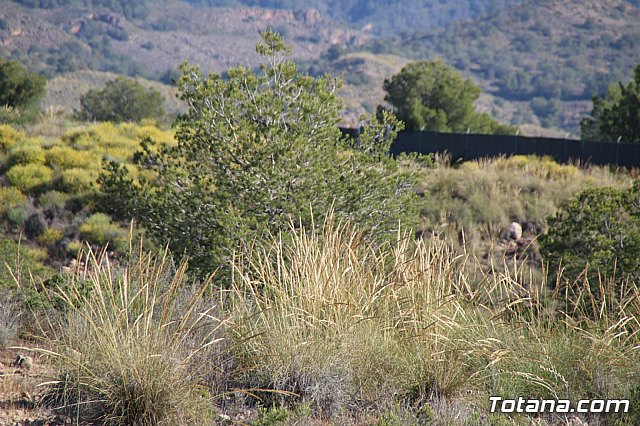 XX Bike Maratn Ciudad de Totana - 88