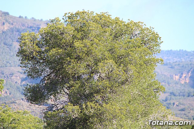 XX Bike Maratn Ciudad de Totana - 89