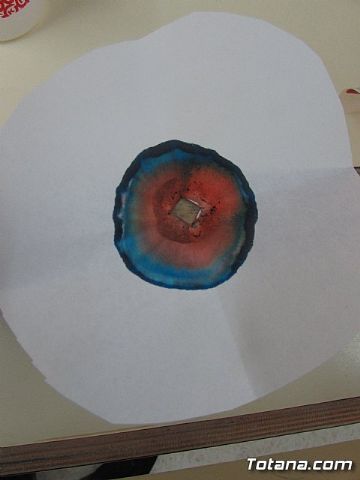 El IES Prado Mayor celebr la festividad de San Juan Bosco 2019 con numerosas actividades - 84