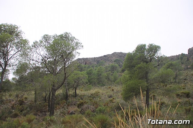 XI Memorial Domingo Pelegrn (circuito XCM regin de Murcia 2017) - 388