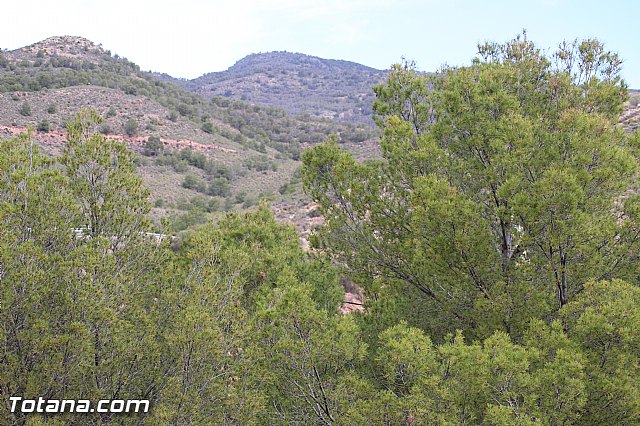 XIX Bike Maratn de BTT 