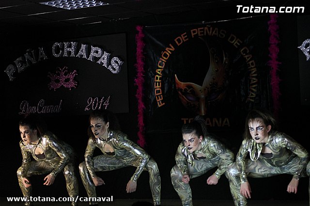 Cena Carnaval 2014 - Proclamacin de La Musa y Don Carnal 2014 - 176