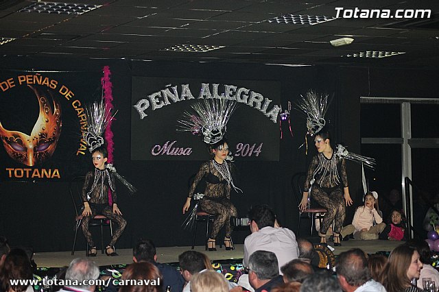 Cena Carnaval 2014 - Proclamacin de La Musa y Don Carnal 2014 - 263