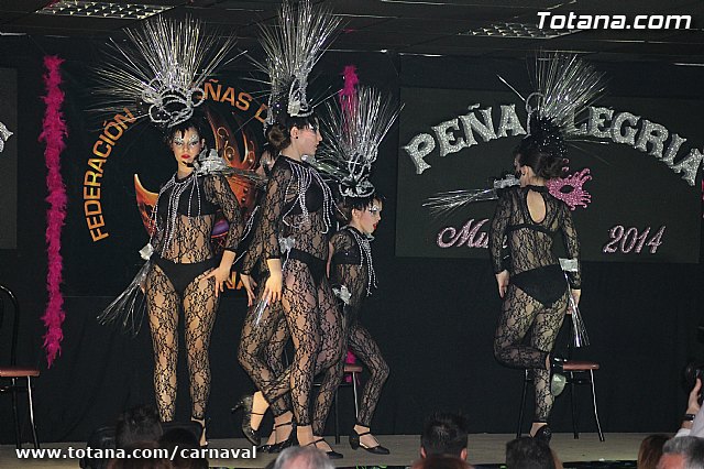 Cena Carnaval 2014 - Proclamacin de La Musa y Don Carnal 2014 - 269