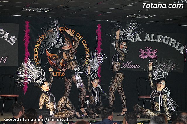 Cena Carnaval 2014 - Proclamacin de La Musa y Don Carnal 2014 - 270