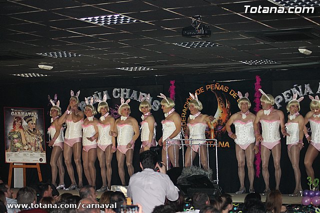 Cena Carnaval 2014 - Proclamacin de La Musa y Don Carnal 2014 - 289