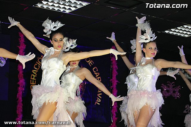 Cena Carnaval 2014 - Proclamacin de La Musa y Don Carnal 2014 - 346