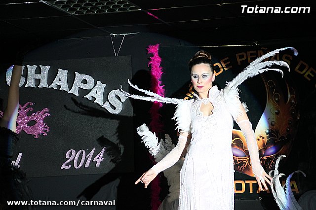 Cena Carnaval 2014 - Proclamacin de La Musa y Don Carnal 2014 - 361