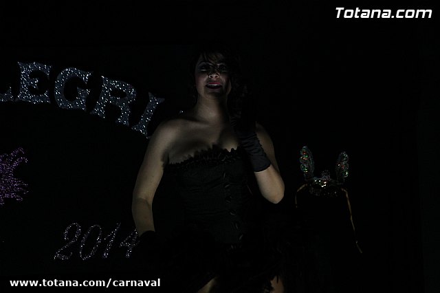 Cena Carnaval 2014 - Proclamacin de La Musa y Don Carnal 2014 - 370