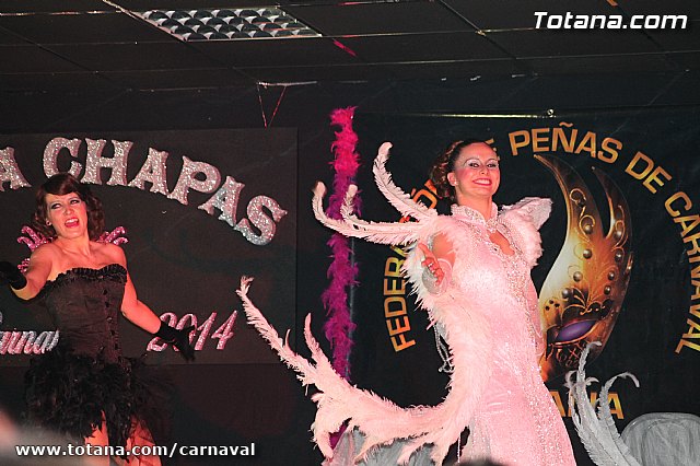 Cena Carnaval 2014 - Proclamacin de La Musa y Don Carnal 2014 - 371