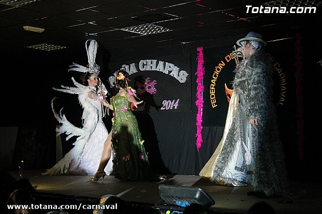 Cena Carnaval 2014 - Proclamacin de La Musa y Don Carnal 2014 - 408
