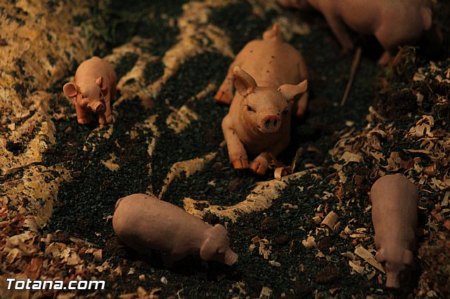 Concierto solidario de Navidad - Agrupacin Musical de Totana - 54