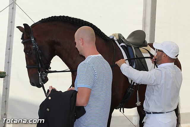 Feria Internacional del Caballo 2015 (Lorca) - 2