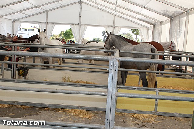Feria Internacional del Caballo 2015 (Lorca) - 9