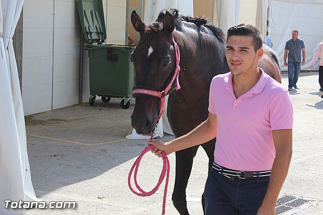 Feria Internacional del Caballo 2015 (Lorca) - 21