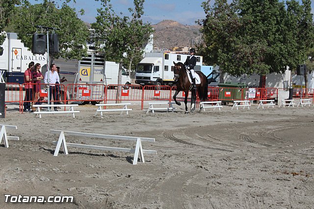 Feria Internacional del Caballo 2015 (Lorca) - 22
