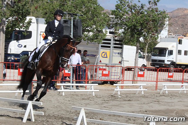 Feria Internacional del Caballo 2015 (Lorca) - 23