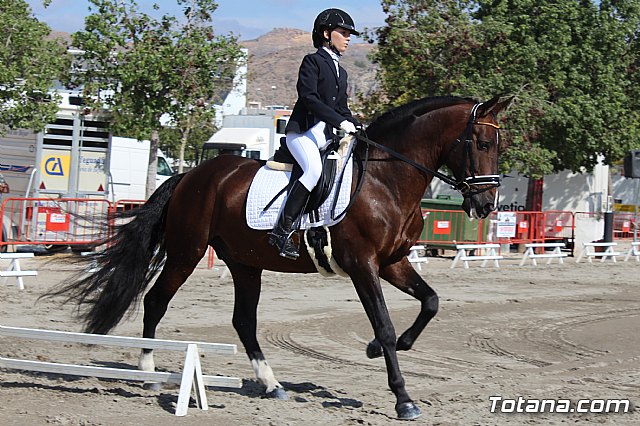 Feria Internacional del Caballo 2015 (Lorca) - 24