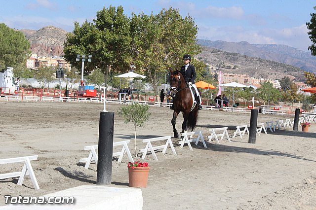 Feria Internacional del Caballo 2015 (Lorca) - 25
