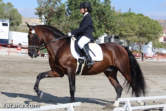 Feria Internacional del Caballo 2015 (Lorca) - 27