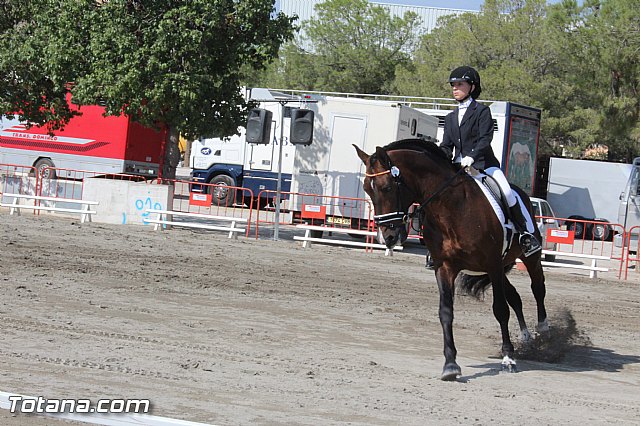 Feria Internacional del Caballo 2015 (Lorca) - 29