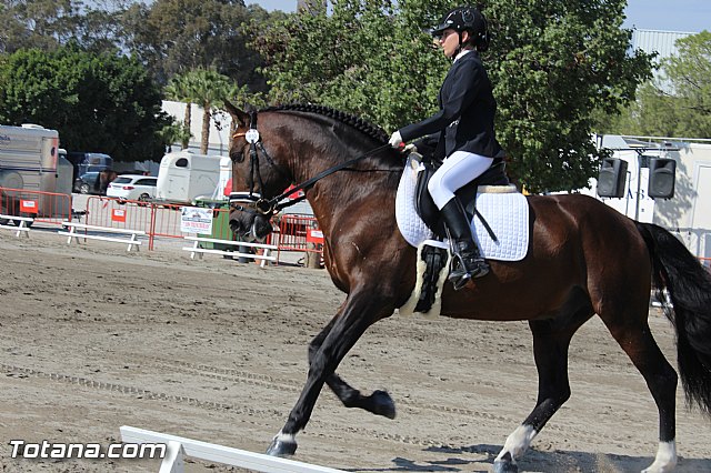 Feria Internacional del Caballo 2015 (Lorca) - 30