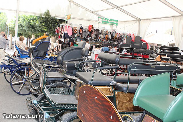 Feria Internacional del Caballo 2015 (Lorca) - 41