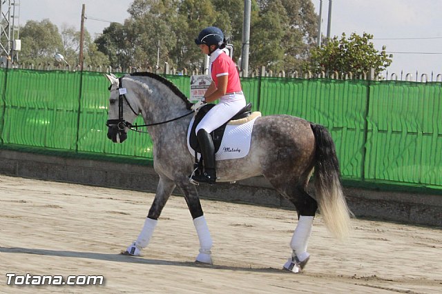 Feria Internacional del Caballo 2015 (Lorca) - 44