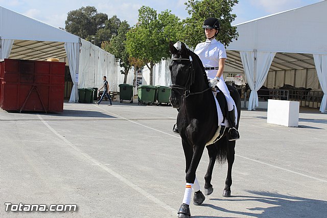 Feria Internacional del Caballo 2015 (Lorca) - 48