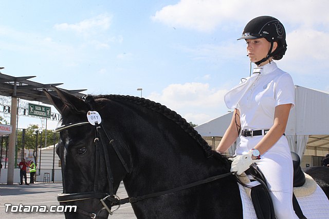 Feria Internacional del Caballo 2015 (Lorca) - 49