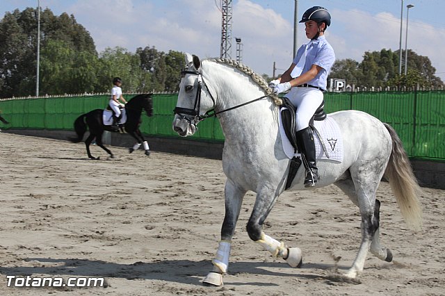 Feria Internacional del Caballo 2015 (Lorca) - 54