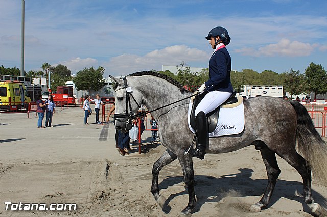 Feria Internacional del Caballo 2015 (Lorca) - 55