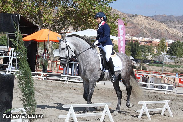 Feria Internacional del Caballo 2015 (Lorca) - 58