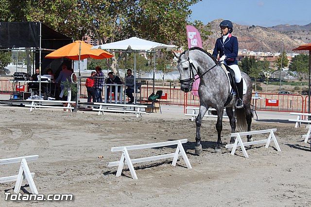 Feria Internacional del Caballo 2015 (Lorca) - 61