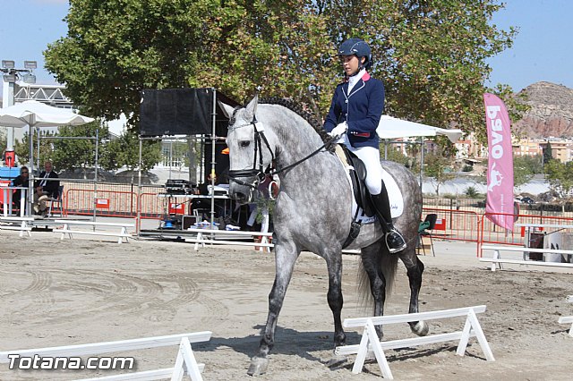 Feria Internacional del Caballo 2015 (Lorca) - 62