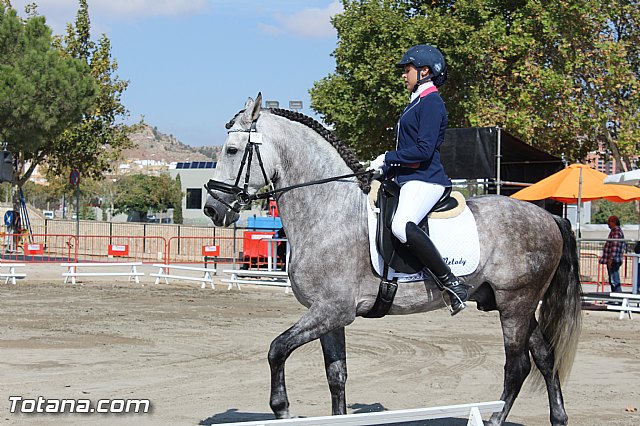 Feria Internacional del Caballo 2015 (Lorca) - 63